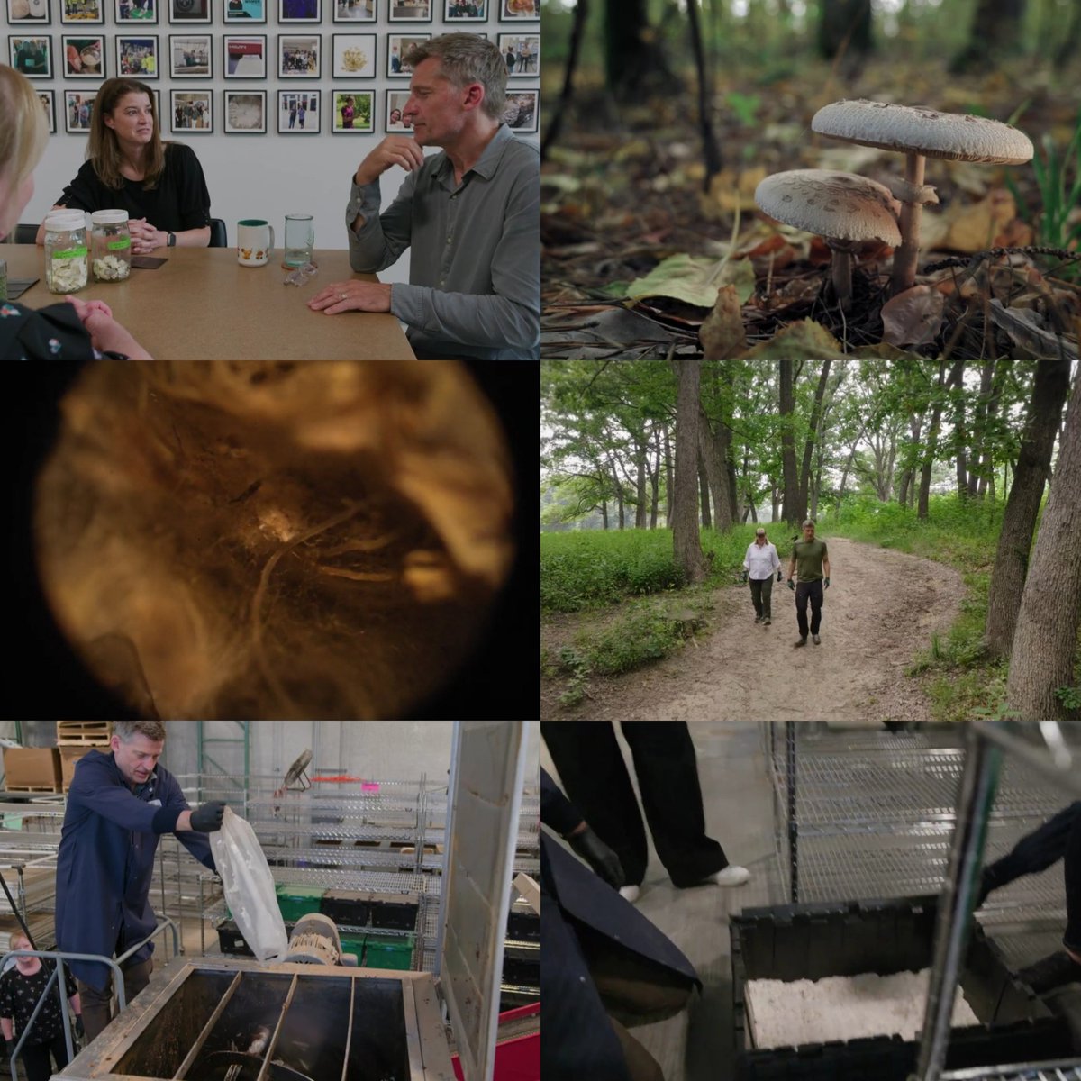 NinaNorlund's tweet image. I also found the part with the company Mycocycle in Chicago, USA very interesting. Never heard of fungi before &amp;amp; to hear what it can do was simply amazing. 

&quot;There&apos;s no waste in nature, right? It takes care of itself&quot;

#AnOptimistsGuideToThePlanet 💚