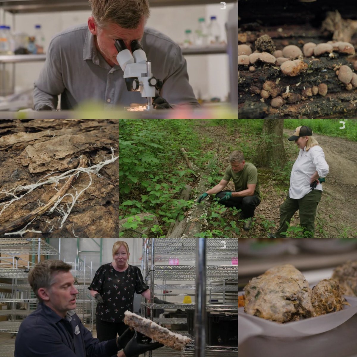 NinaNorlund's tweet image. I also found the part with the company Mycocycle in Chicago, USA very interesting. Never heard of fungi before &amp;amp; to hear what it can do was simply amazing. 

&quot;There&apos;s no waste in nature, right? It takes care of itself&quot;

#AnOptimistsGuideToThePlanet 💚