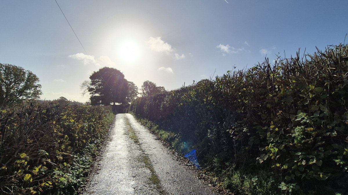 Ozymandiasdust's tweet image. East Devon country lane... ☀️ #Devon #EastDevon