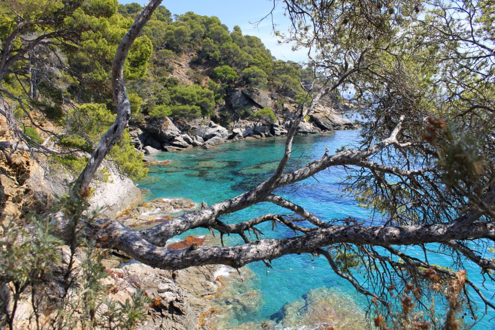 nice-edd tweet media