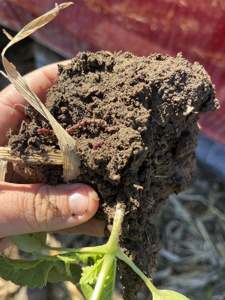 Maria Cox tweet media