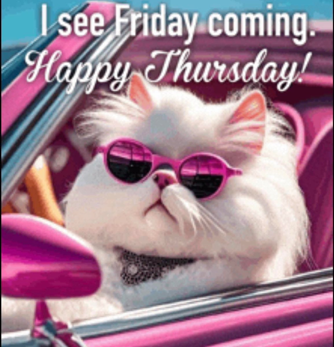 SlivkaTerri2's tweet image. I was a lot happier and had way more peace when I didn't see Liberals All over my feed! I'm not sure what has changed but, those bat-sh*t crazies try and steal my joy!