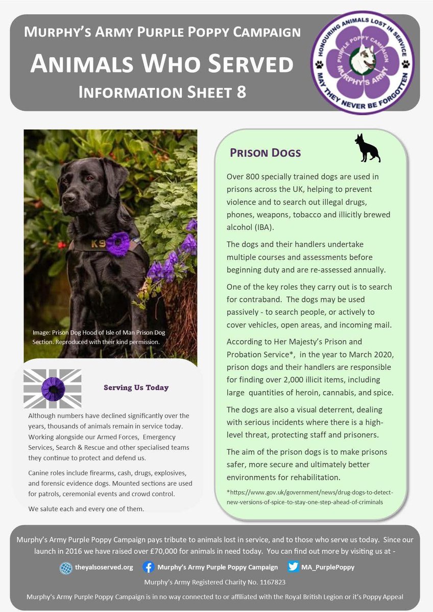 Isle Of Man Prison Dog Section (@dhkeith) on Twitter photo 