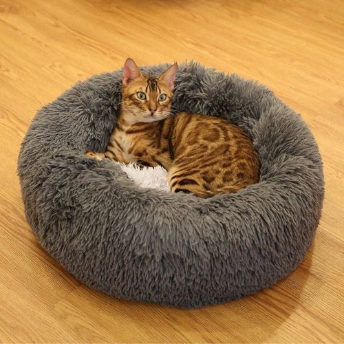 PawsativeF's tweet photo. ☕ Sometimes you just have to take a break—life gets in the way. Your cat already knows how to rest right. Maybe follow their lead. 💛
https://t.co/mbLY2hEEwG

#PawsativeFinds #CatWisdom #TakeABreak #CatLove https://t.co/SUvE2JRHJK