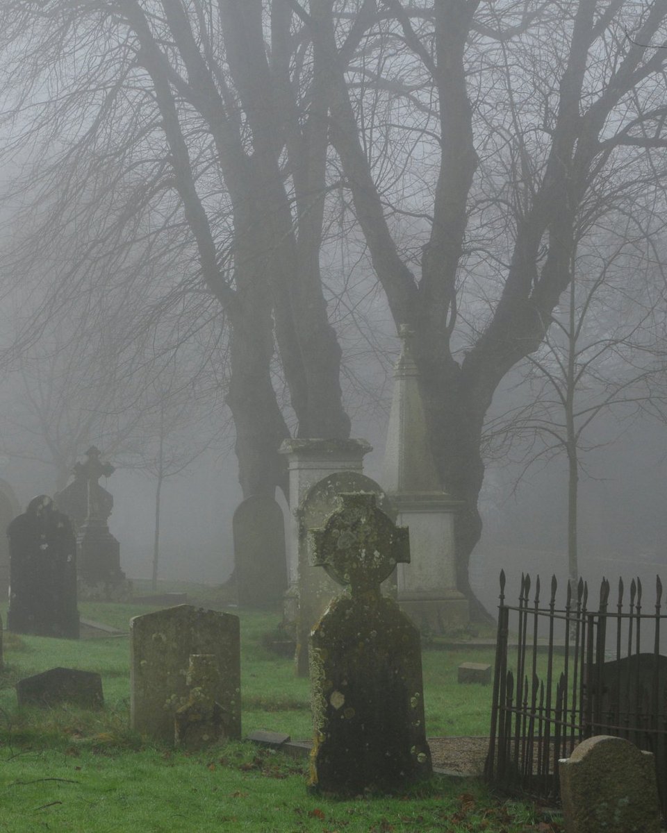 Heymondo_en's tweet image. Scarier than a horror series:
1. Grocery prices at Erewhon💸
2. Your card getting declined abroad 💳
3. Booking “sea view” and only seeing the cemetery ⚰️

#travelhumor #spookyseason #halloween