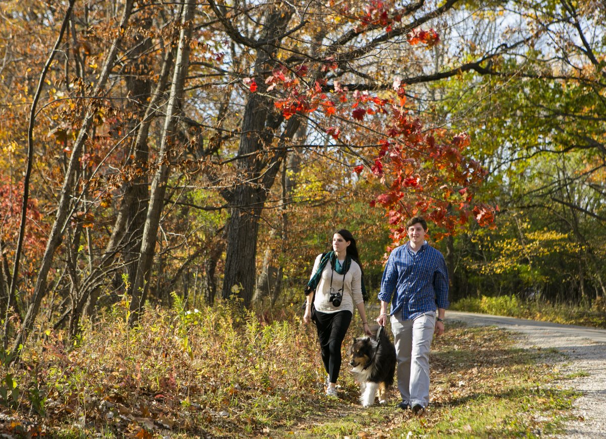 Two fun Forest Preserve adventures ahead!

Stars, Stories &amp; S’mores — Nov 7 | Dan Ryan Woods Enjoy s’mores by the fire, storytelling, and stargazing!

Tails on Trails — Nov 9 | River Trail Nature Center Explore with your pup + learn from a canine expert! 
Register: 847-824-8360