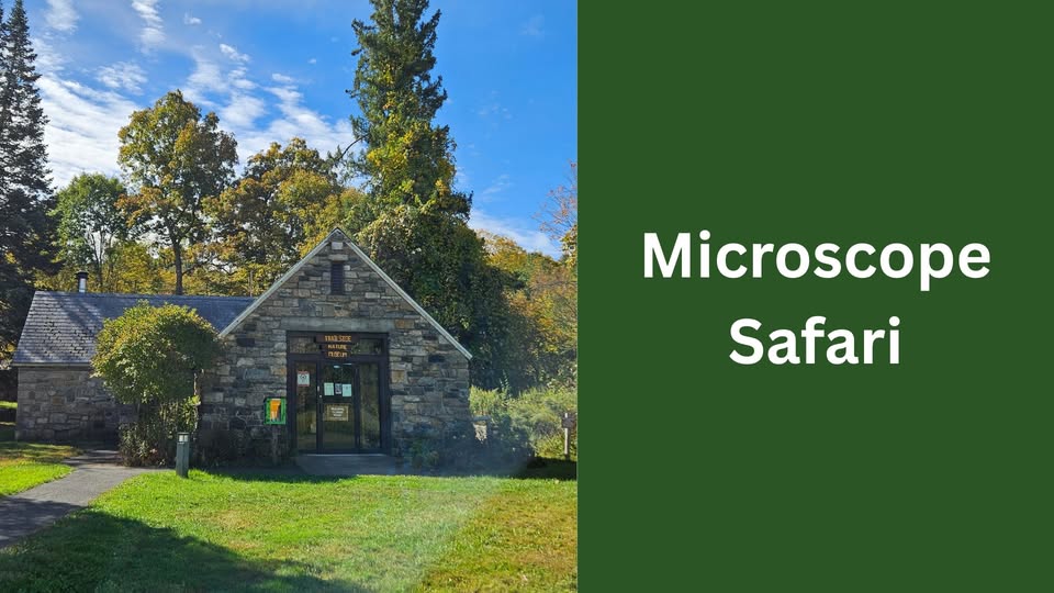 Visit Trailside Nature Museum, tomorrow, Saturday, November 1, 1 p.m. to 2 p.m. and discover the hidden features that make our forests unique! Open to all ages. $25 per person; free for 3 and under.