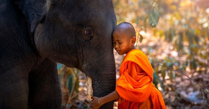 linnemann's tweet photo. Jul i Thailand – sådan får du en tropisk juleferie i Thailand
“Jul med palmer og varme? Thailand tilbyder en juleferie ud over det sædvanlige. Her er hvordan du gør det tropisk. #ThailandJul” https://t.co/rLnmw39gnY https://t.co/cVo467ZDBw