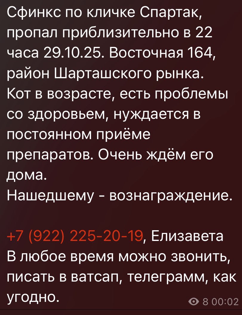 Ребята ЕКБ! 
Максимально репост, пропал кот в районе Восточной 

Я лично знаю этого малыша, ласковый очень пугливый.

Прошу распространите чтобы Спартак оказался поскорее дома 🖤