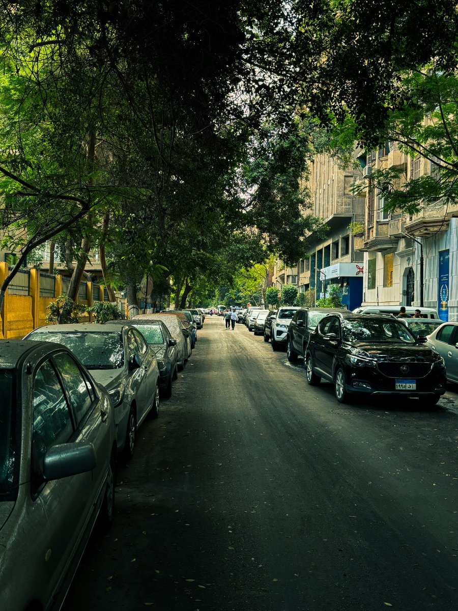 mzaehm_'s tweet image. The color green in Zamalek Cairo.