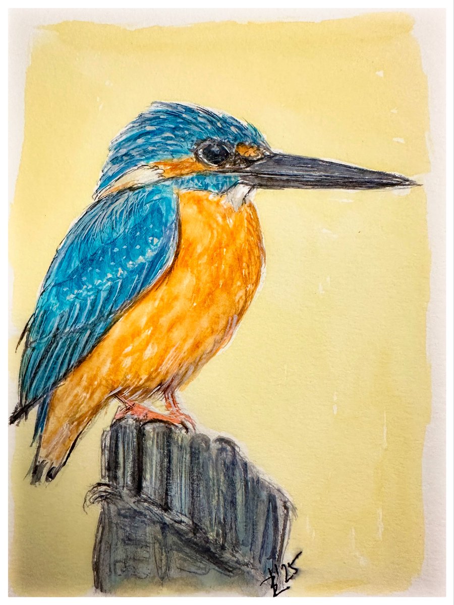 beneslenka's tweet image. dva nejnovější ledňáčci - to tak prostě někdy vyjde  😉🫡
1373.-1374. člen letky ptáčků proUA 
minulý týden jsme se řádně hryzli a během dvou dnů vybrali na DANU, a teď jedeme dál! 🥳
a víte jak, za příspěvek ptáčka 😉👇👇👇
krásný večer❤️