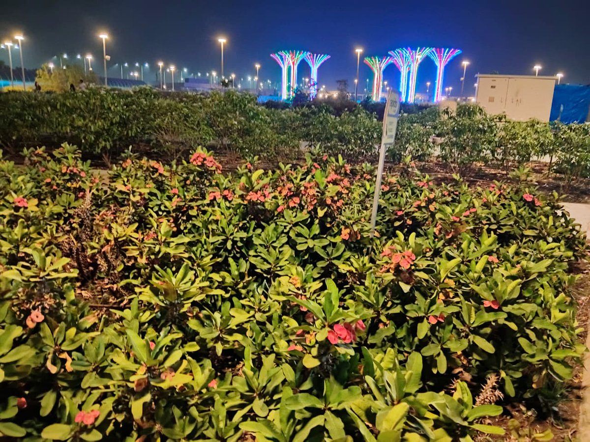 JaffarManh31814's tweet image. #RajkotVibes 🌸✨
#CityOfLights 🌆