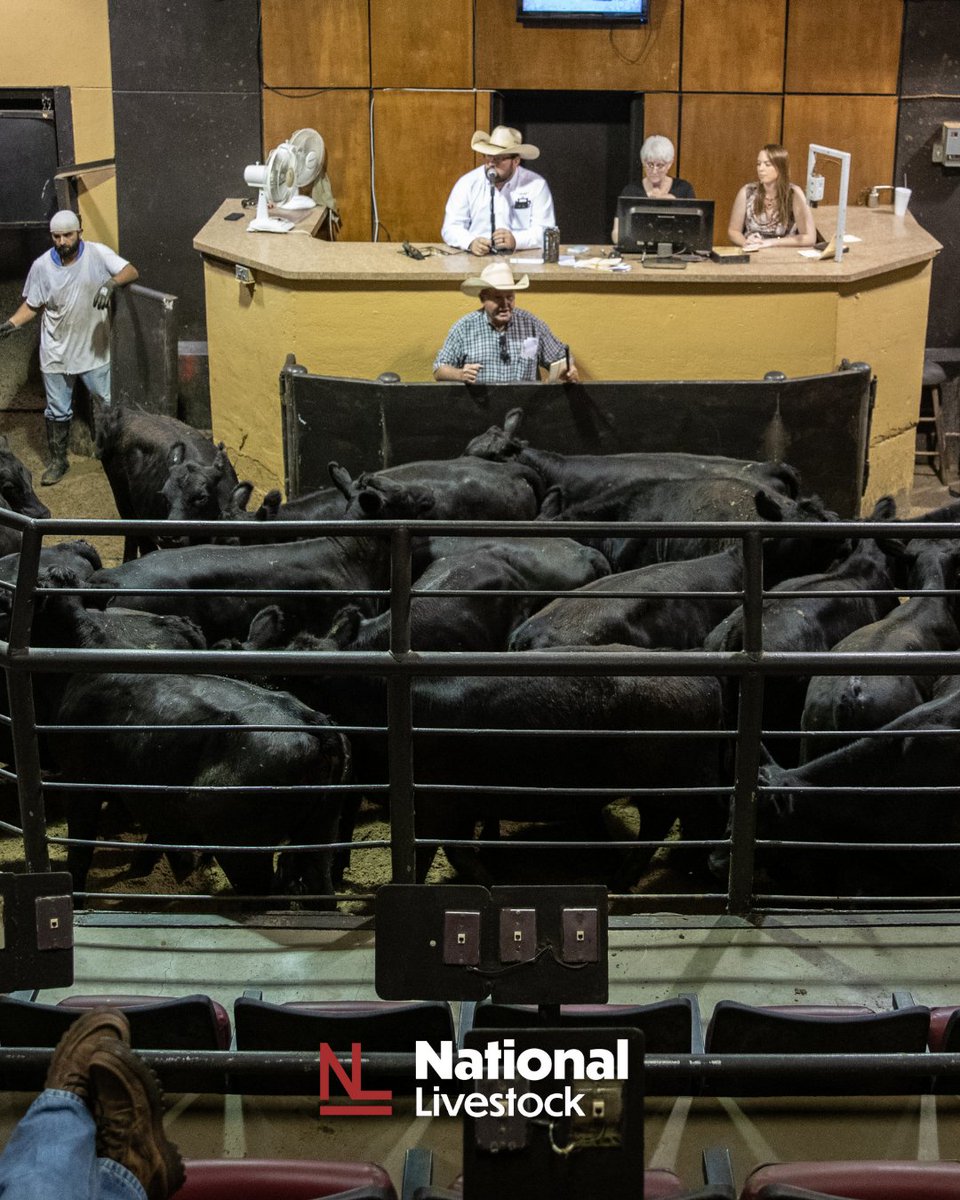Local values, Nationwide trust. Learn more at nationallivestock.com