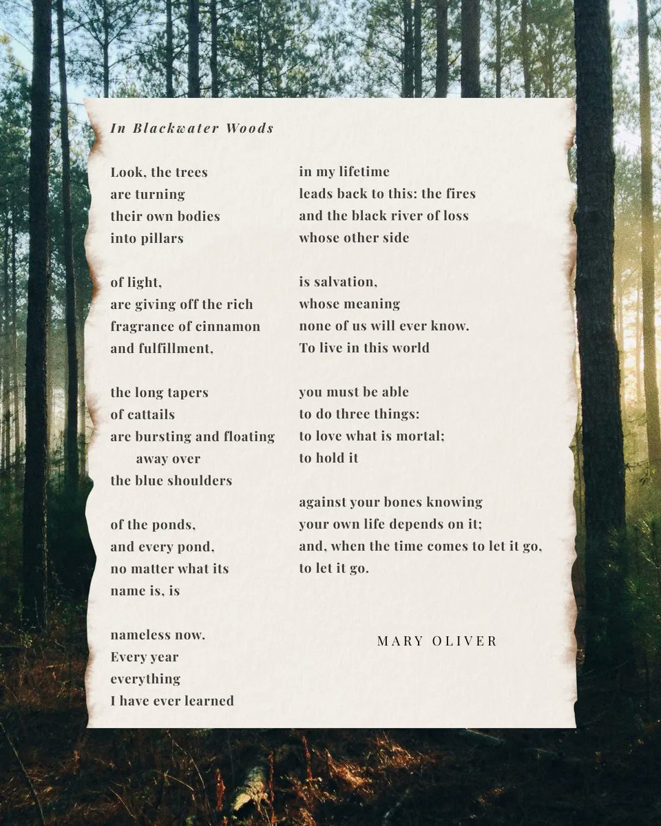 In Blackwater Woods by Mary Oliver.

From the latest issue of #SeedsofaSecondRenaissance: news.secondrenaissance.net/p/seeds-of-a-s…