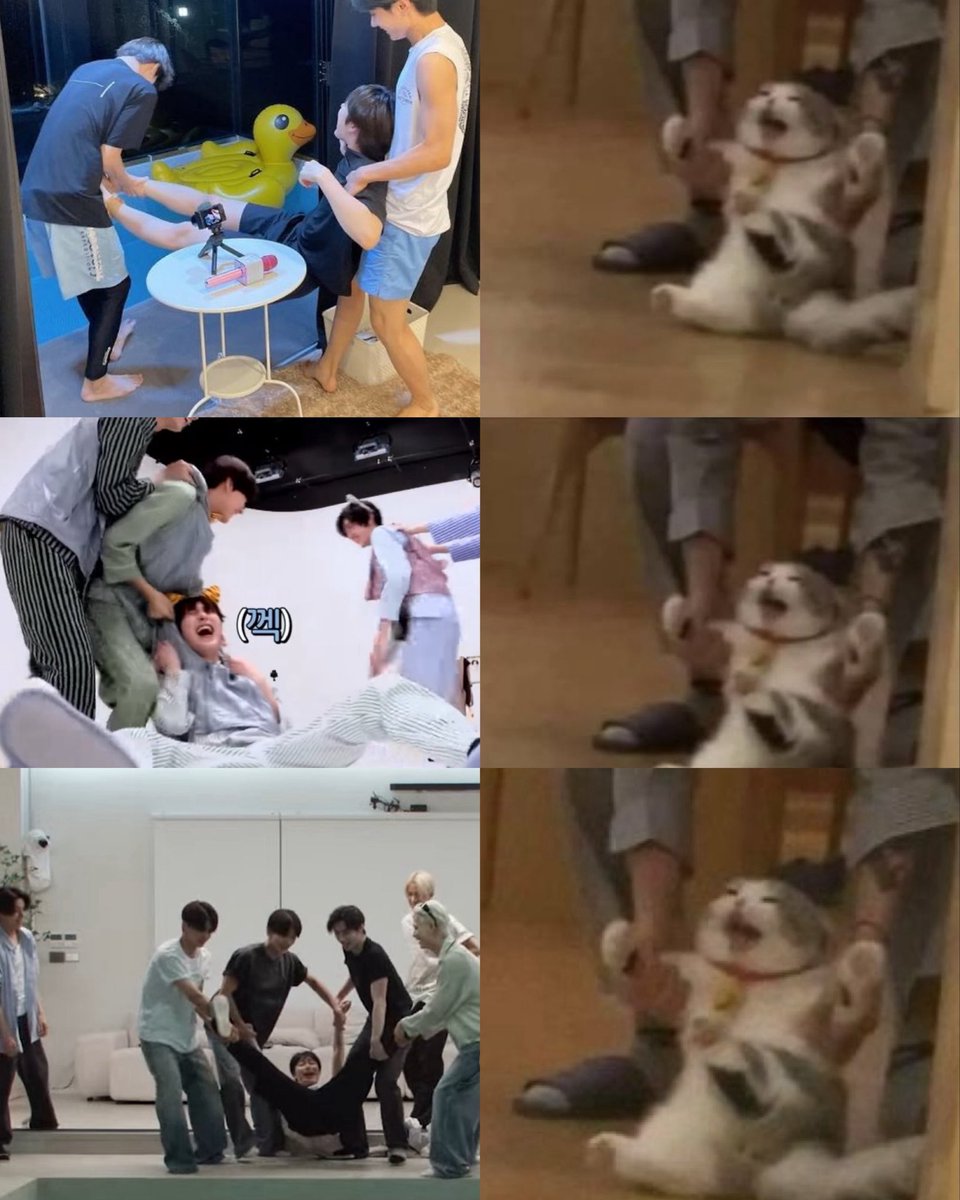 ◠‿◠ tweet media