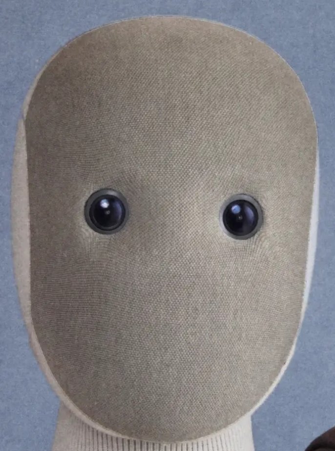 two cold, dead eyes yet it still looks so friendly

we're cooked