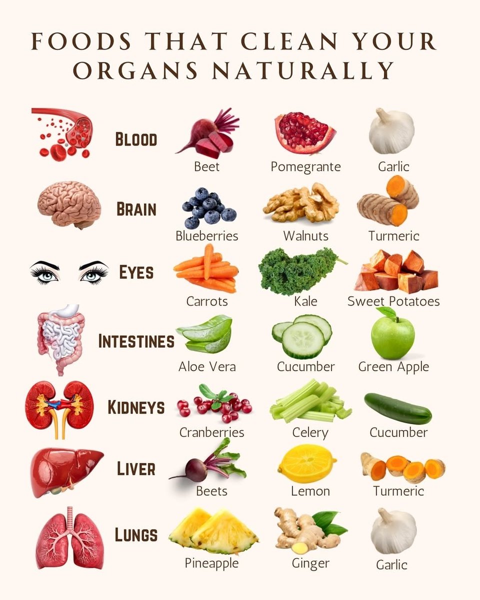 Foods That Clean Your Organs Naturally 🌿

🩸 Blood – Beet, Pomegranate, Garlic
🧠 Brain – Blueberries, Walnuts, Turmeric
👁️ Eyes – Carrots, Kale, Sweet Potatoes
🦠 Intestines – Aloe Vera, Cucumber, Green Apple
🫀 Kidneys – Cranberries, Celery, Cucumber
🍋 Liver – Beets, Lemon,