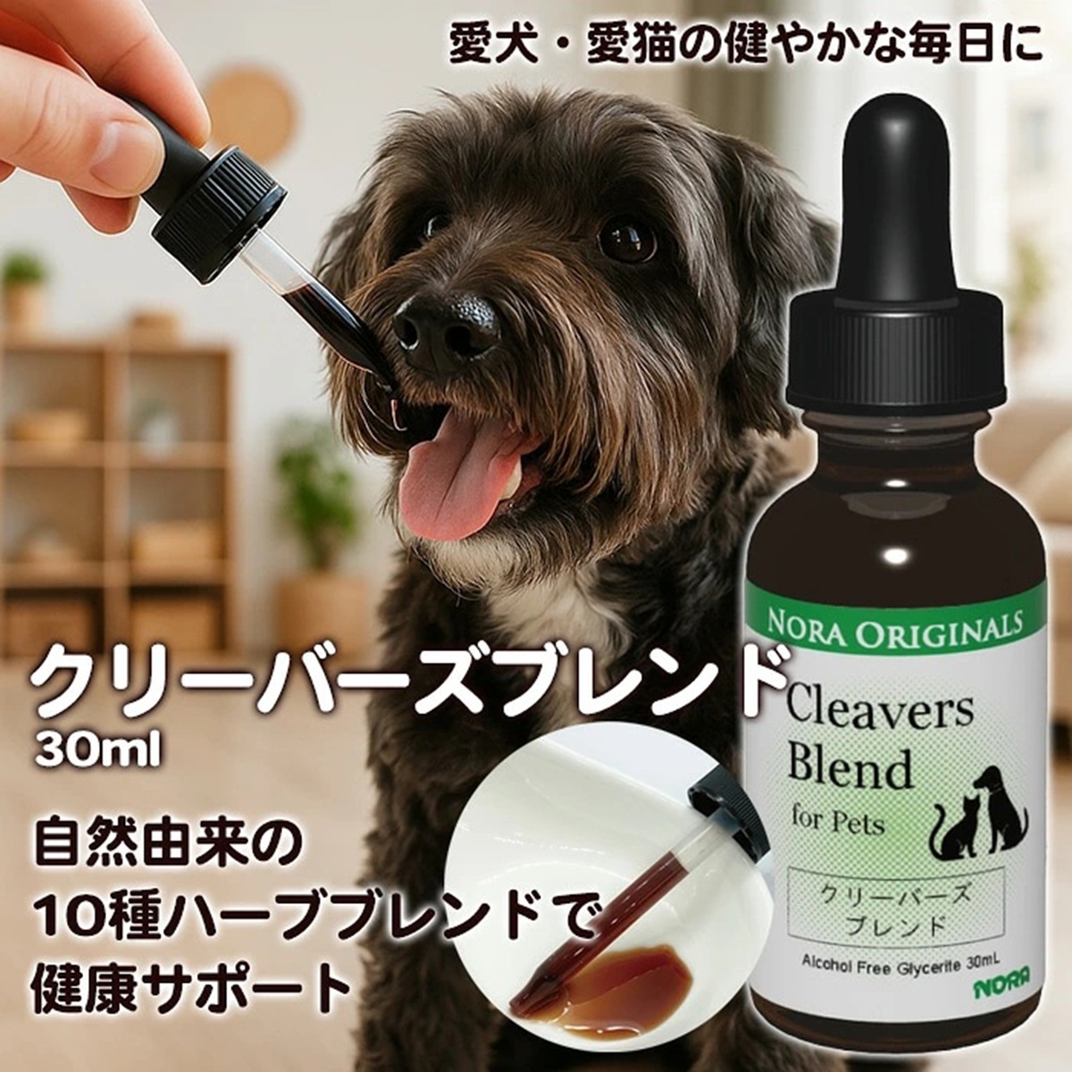 hidechan (@hidechan007) / Posts / X