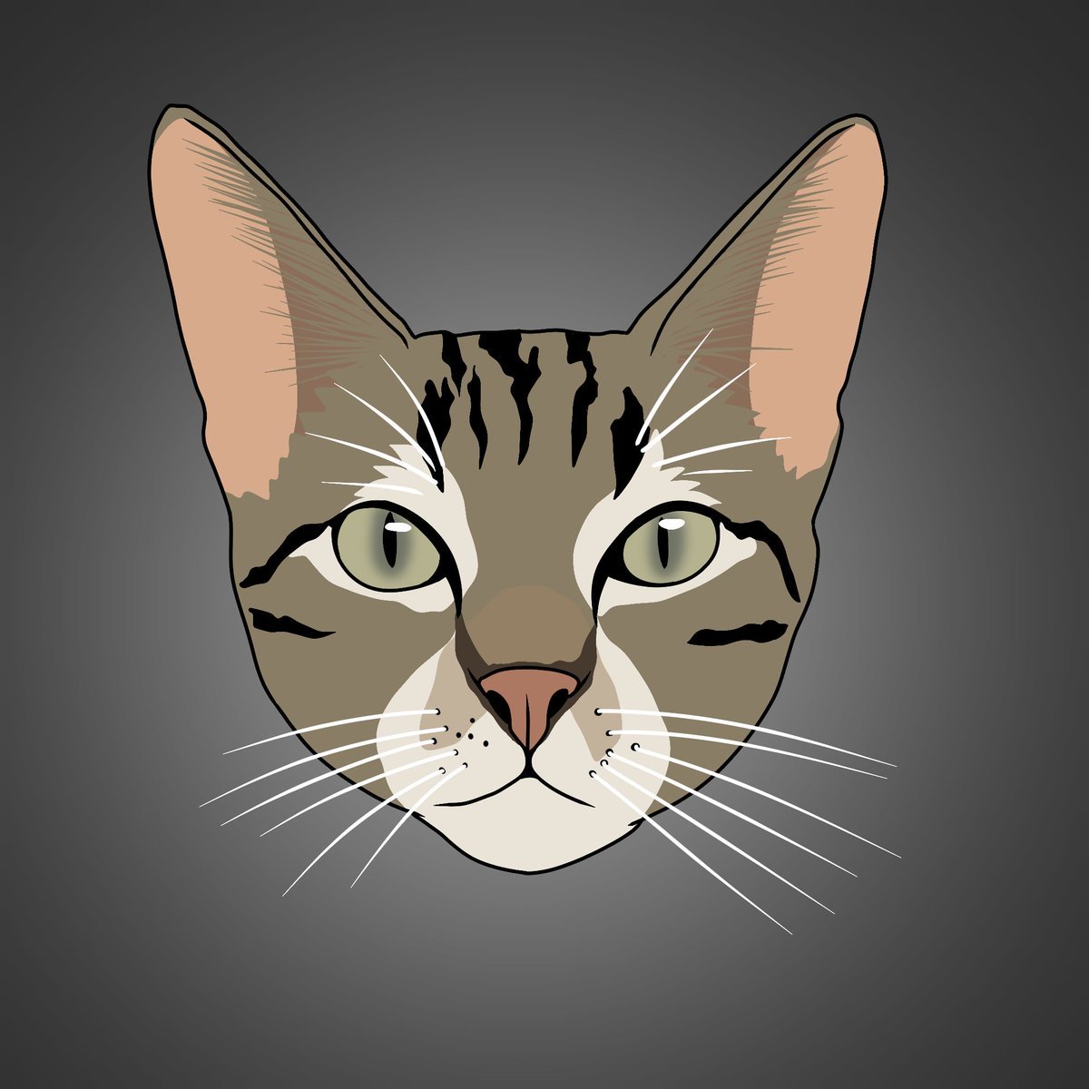 RT This Tweet If You'd Like To See $KitKat Listed On <a href="/MEXC_Official/">MEXC</a> Today. 

In The First 12 Hours KitKat Has: 
- Trended On X 
- 5,000+ Holders 
- Surpassed A 9M+ MC
- Did Over 10M+ Trading Volume 

Should MEXC Be KitKat's First Listing?!