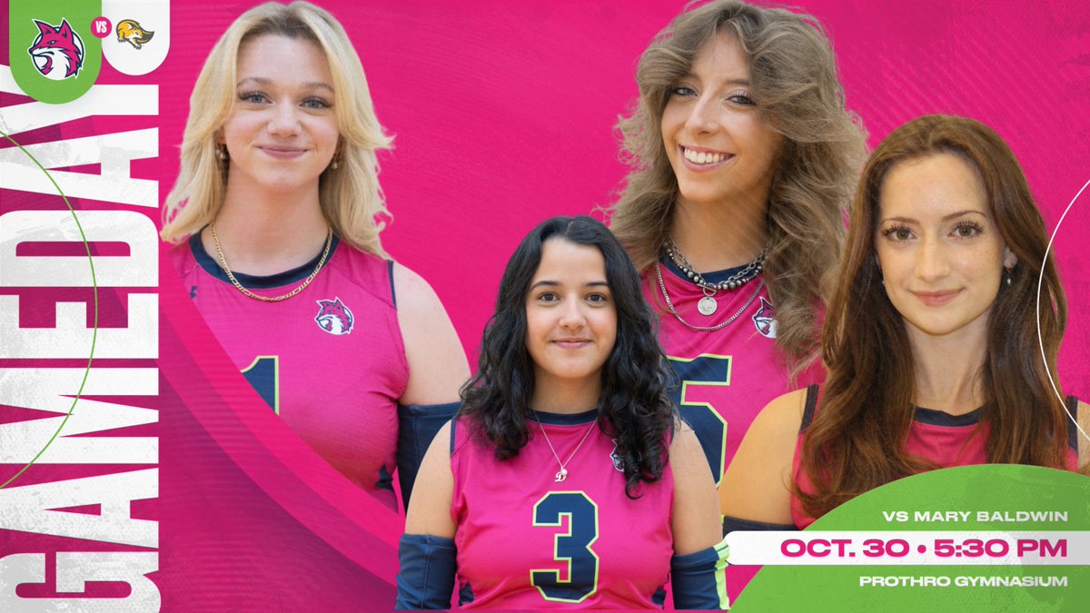 VB | Ready for our last home contest of the season!

🆚 Mary Baldwin
🏟️ Prothro Gymnasium
🕠 5:30PM ET
💻 vixensportsnetwork.com
📊 vixenathletics.com/sidearmstats/w…

#upupsweet x #vixenFIERCE x #PASSION