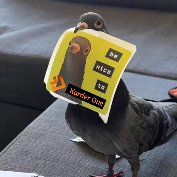 Anil || ⛓🎲 | 🧙♂️ tweet media
