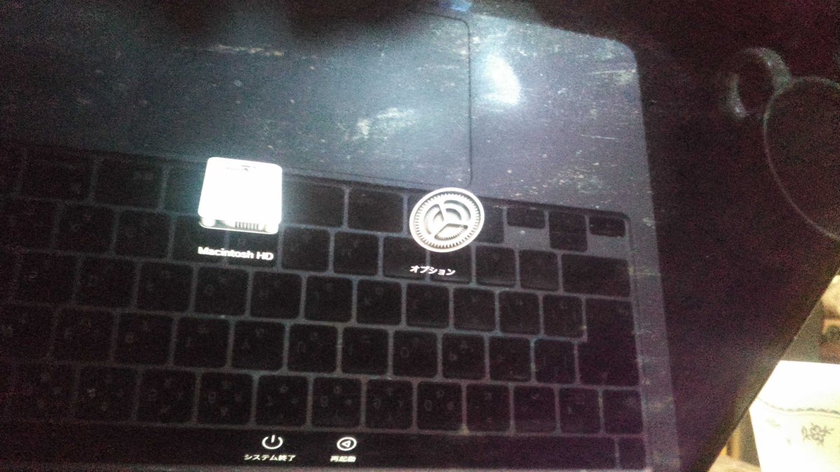 澁谷浩次 on X 澁谷浩次 on X