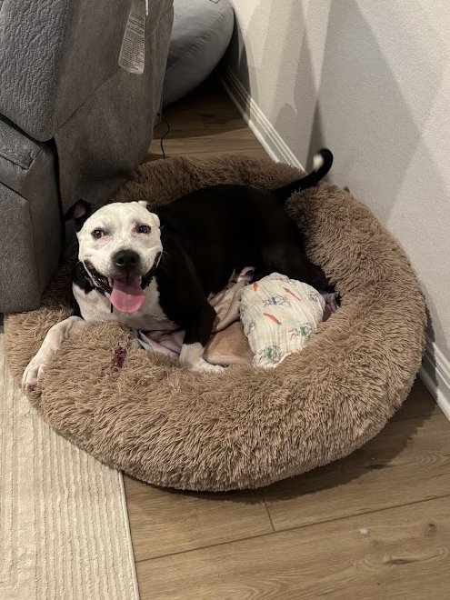 SKYLINE | Special tweet media