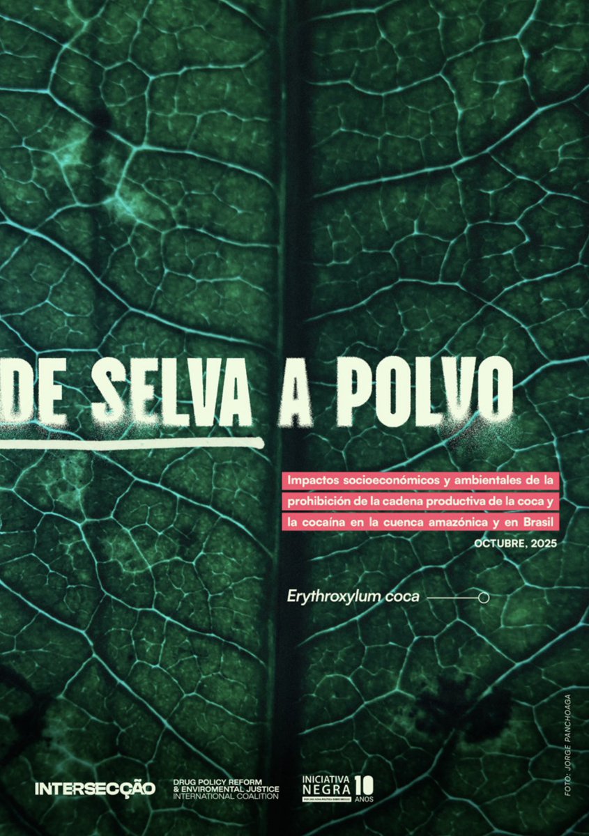 Transform Drug Policy Foundation tweet media