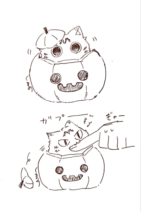 🐱🎃「はろいんなんてものはしらね、菓子がふっとつ(いっぱい)くえる日はしってる。かじられたくなかったら菓子よこせ」
(再掲) 