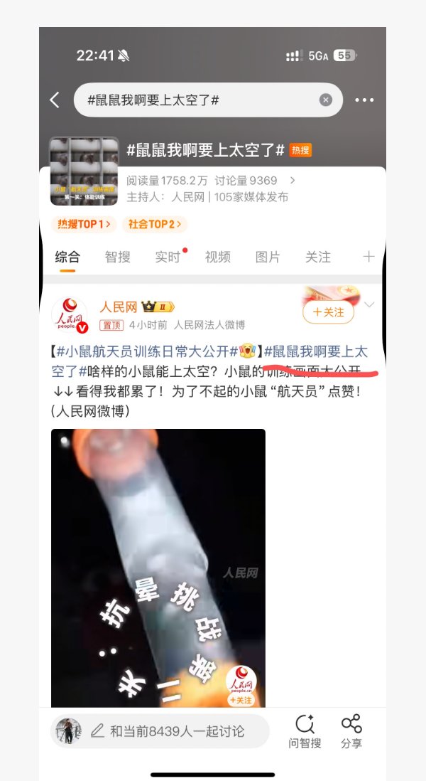 鼠鼠我啊 tweet media