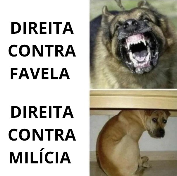 Moments of Brazilian Politics (@momentsofbrazi1) on Twitter photo 