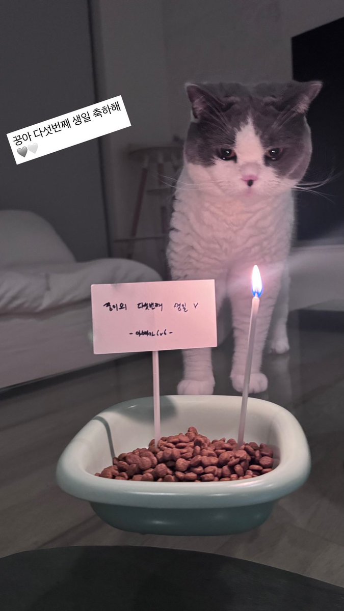 Shinee_Fan_Base's tweet photo. #TAEMIN story update with Kkoong for her birthday 🎂 

🐥: Happy 5th birthday, Kkung-ah🩶🤍

Note: Kkung’s 5th birthday ♥︎
– from dad 6v6 – https://t.co/DommtJPNPH