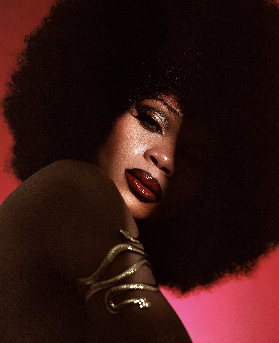 Dangogopictures📸 tweet media