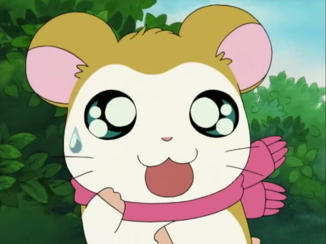 🎀リボン❤️ちゃん (@ribontixyan) / Posts / X