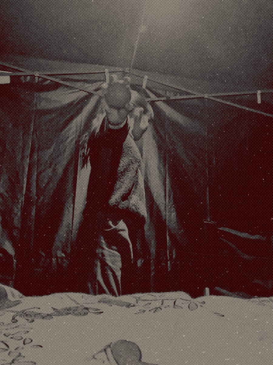 scriptedolled's tweet image. Você descascaria essa laranja pra mim? /🥹.