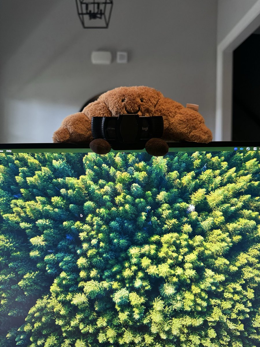 Kara Luton 🩰👩🏼‍💻 tweet media