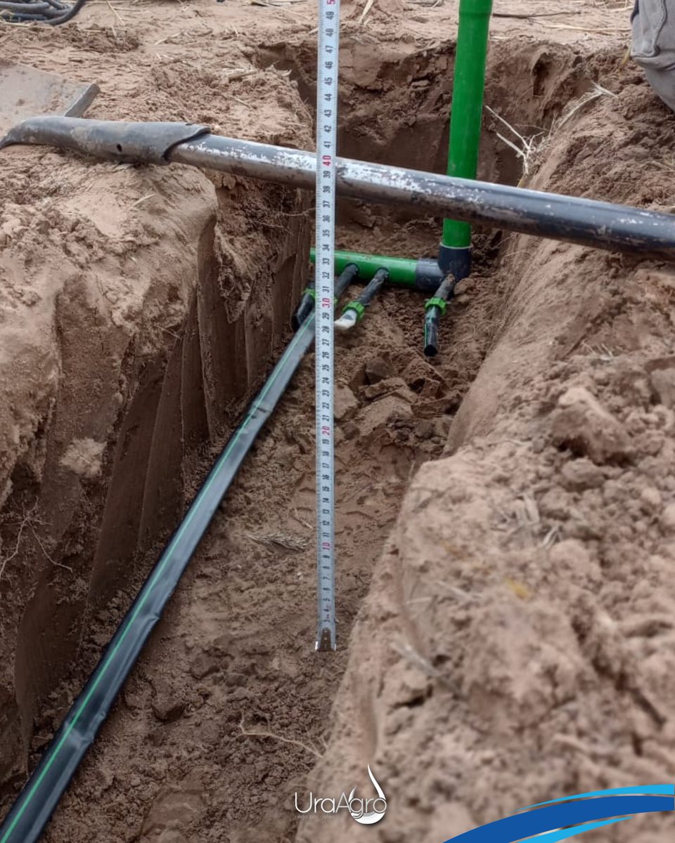 Compartimos parte de nuestro proceso de diseño en proyectos de riego por goteo subterráneo. Realizamos una prueba a escala que, mediante sondas, nos permite determinar el distanciamiento y tipo de goteros ideales, aplicando la lámina de riego exacta para cada tipo de suelo.