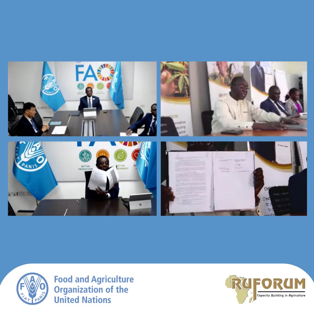 ✨✨News: FAO and RUFORUM have renewed their partnership to strengthen agricultural education, research, and innovation across Africa.

The 5-year agreement was signed today by <a href="/ruforumsec/">RUFORUM</a>'s Prof. Patrick Okori and FAO's <a href="/AbebeHGabriel/">Abebe Haile-Gabriel</a>.

More 👉🏿fao.org/africa/news-st…