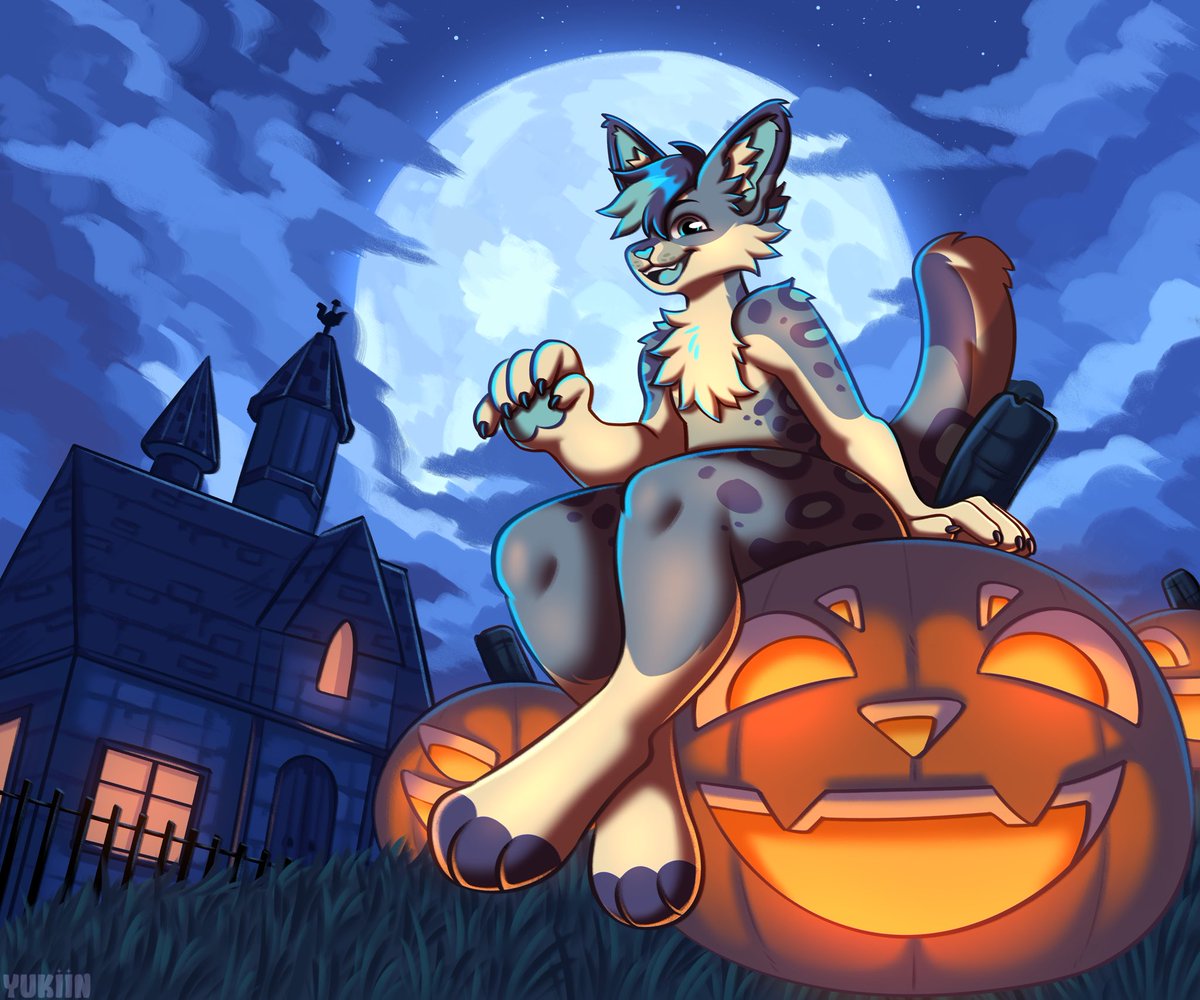 Articu 🦁 tweet media