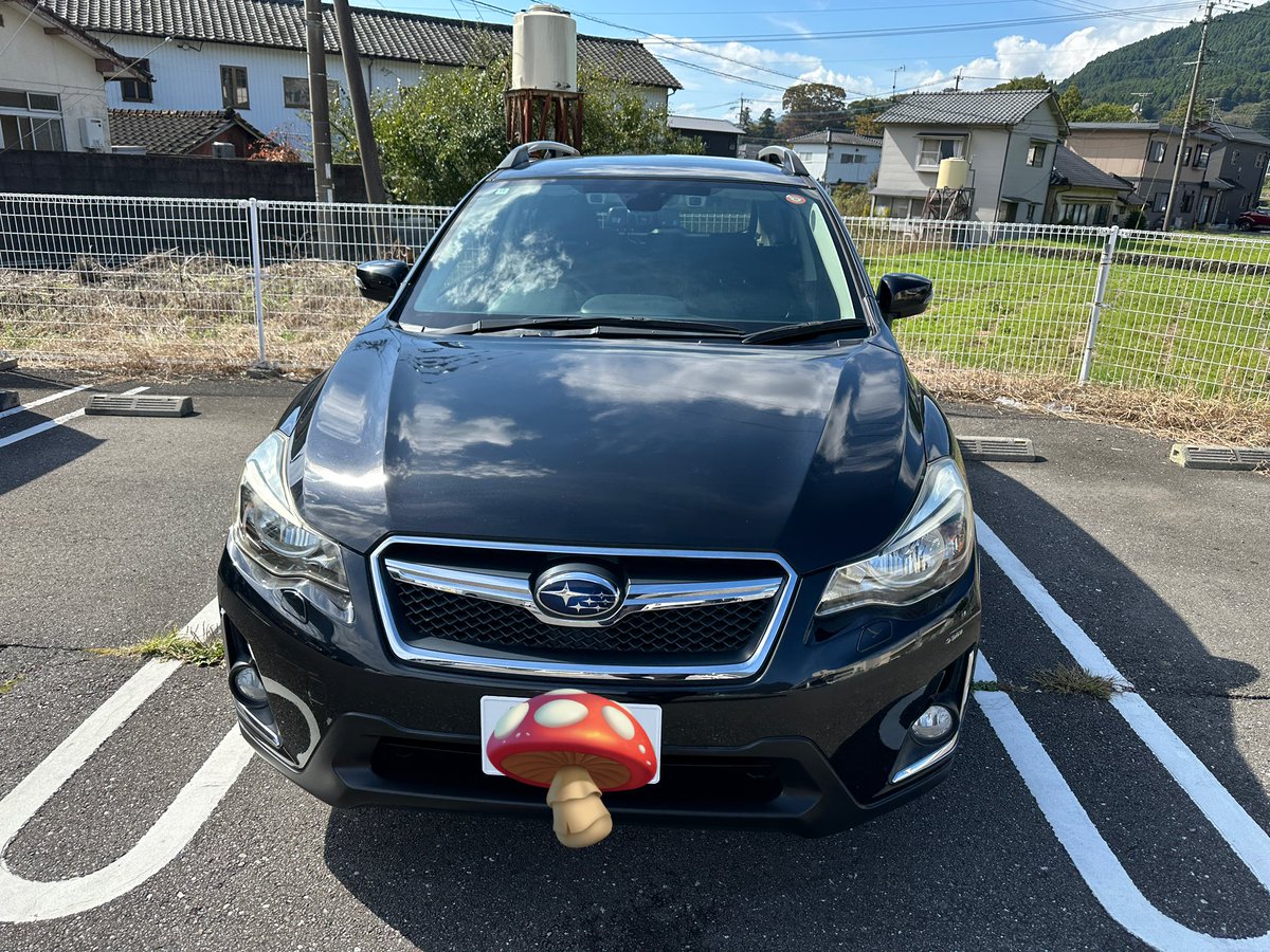 KINOKO-ex〈きのこっくす〉 on X