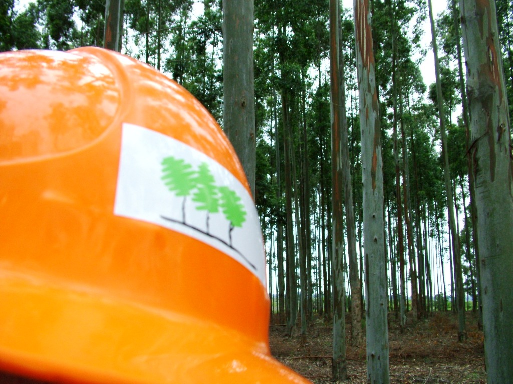 #AgendaForestal #Investigacion #Innovacion #Mercados 
Entre Ríos | Todo listo para las tradicionales Jornadas Forestales del INTA Concordia y AIANER argentinaforestal.com/2025/10/30/ent… 
<a href="/INTAInforma/">INTA Informa</a> <a href="/FER_DATE/">Fernando Dalla Tea</a> <a href="/intaargentina/">INTA</a> <a href="/AfoaArg/">AFOA</a> <a href="/FAIMAargentina/">FAIMA</a>