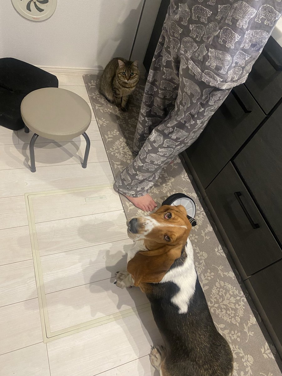 ⭐️ くまこです くまこ@BfP六本木ワークショップ (@BrowfiriP2) / Posts / X