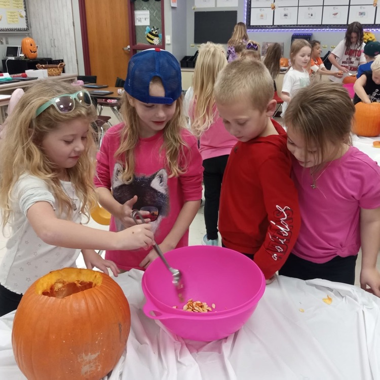 clinton_schools's tweet photo. Pumpkin fun in Kindergarten! 🎃 #CCSDStudents carved pumpkins and used their five senses to discover all the unique sights, smells, and textures inside. https://t.co/GxVQ4erJM1