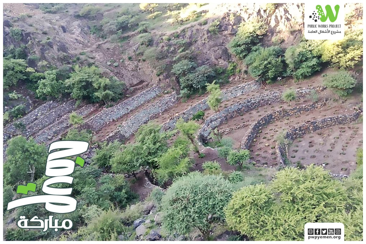 PWPYEMEN's tweet image. إعادة تأهيل المدرجات الزراعية مصدر مستدام للعيش الكريم.

جمعة مباركة

#مشروع_الأشغال_العامة
#PWP
#Public_Works_Project