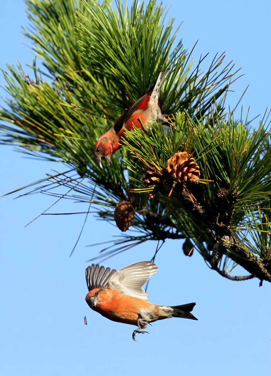 ryu様 new arrivals］ 2025 AUTUMN / WINTER COLLECTION