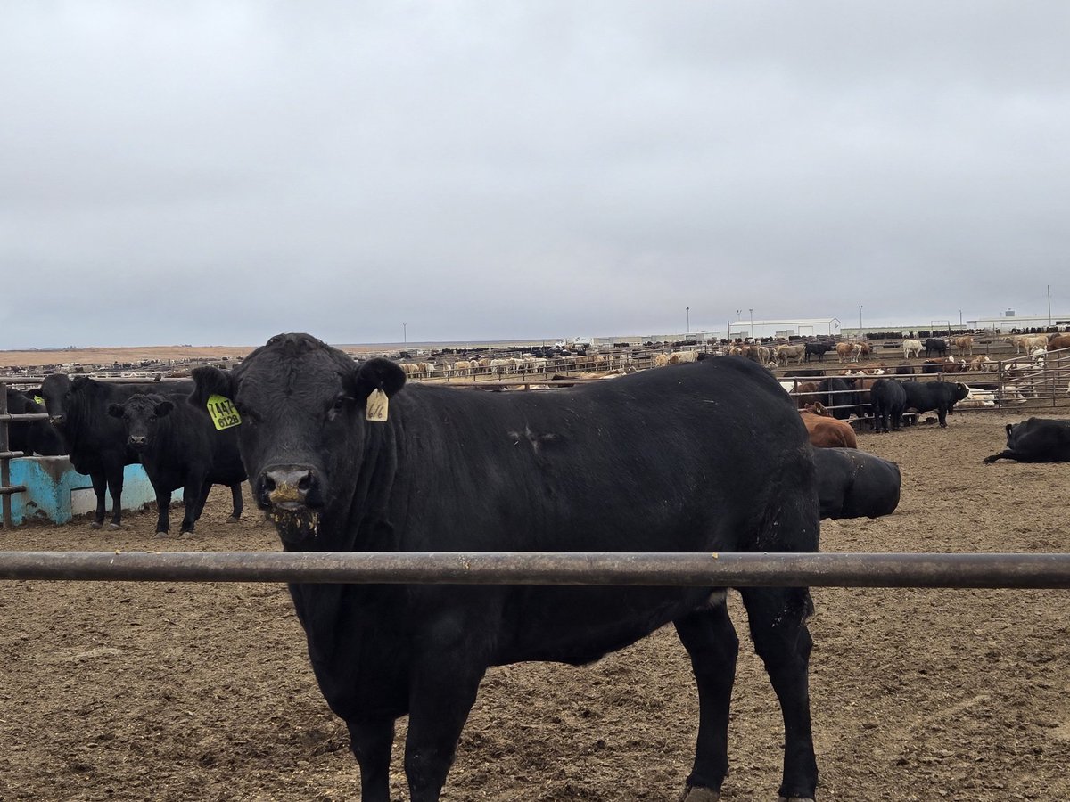 Aksee (@aksee5) on Twitter photo 