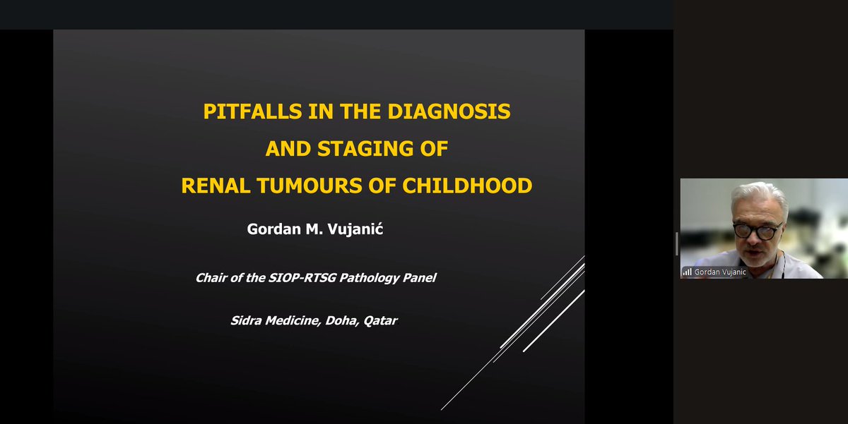 ProgramaTeleo's tweet image. AHORA EN VIVO | Clase del Dr. Gordan Vujanic, Chair del RTSG Pathology Panel de SIOP, sobre  desafíos en el diagnóstico y el estadiaje, en el marco del Curso de Actualización en Patología de Tumores Renales Pediátricos.

Accede desde teleosjd.org