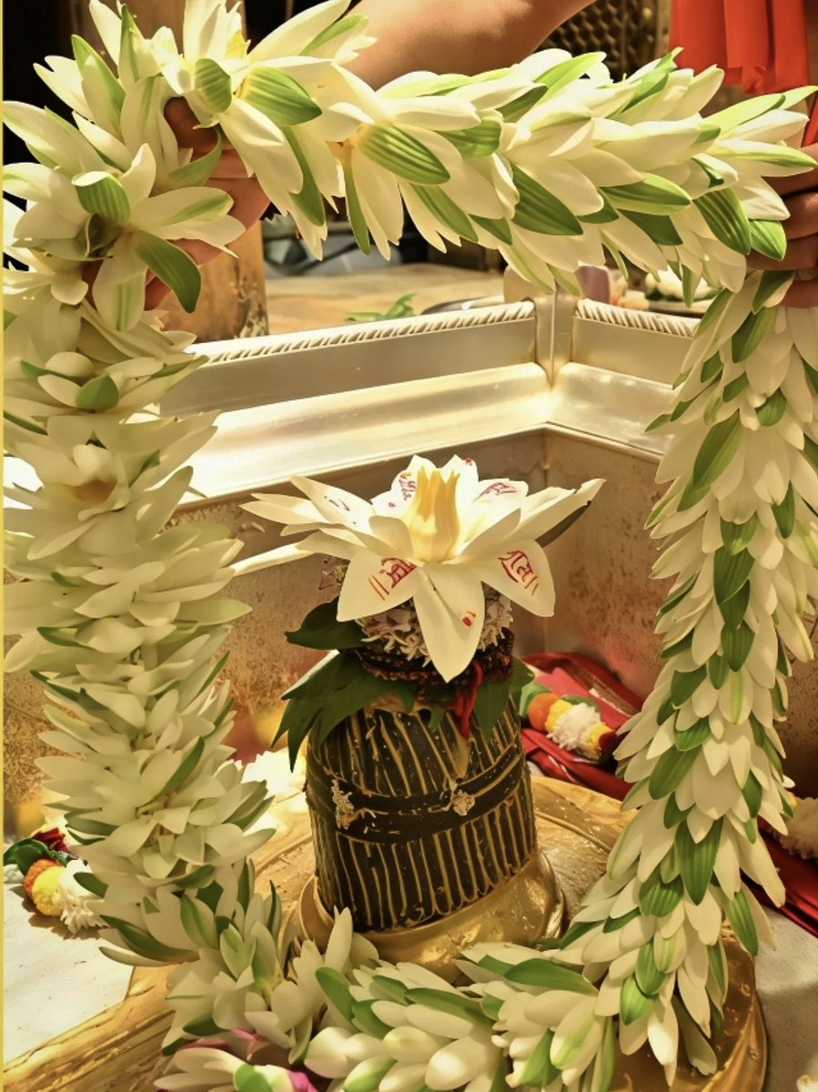 काशी विश्वनाथ महाराज जी 🌺🌹🏵️🌷🪷🙏🙏🙏