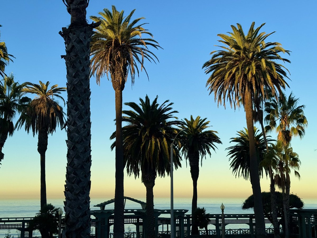 Staff_Commodore's tweet image. Good Morning!  🌴🎡