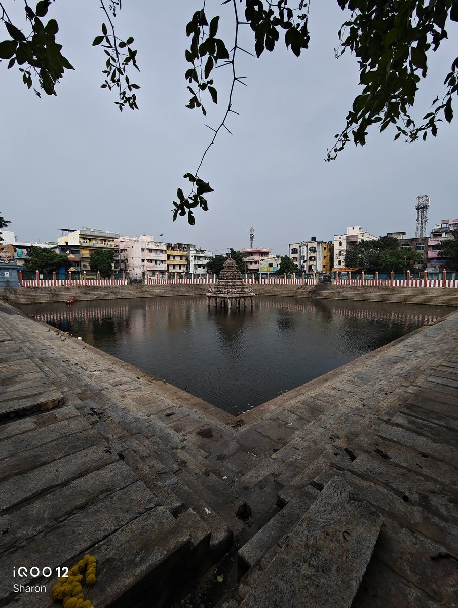 _CodeWizard's tweet image. Random Clicks | #ShotOniQOO12📸✨
#ShotOniQOO12 #iQOO #FeatureMeOnSocial #iQOOConnect